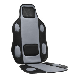 Autopoťah sivý