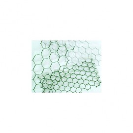 Pletivo hydinové pozinkované 1x50m/30mm