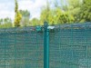 05410_3.jpg