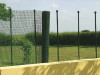07636_3.jpg