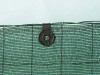 12495_3.jpg