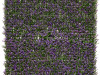 22951a.jpg