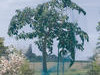 7564e.jpg